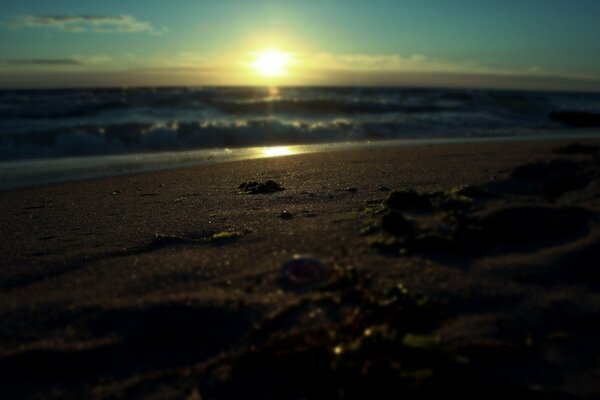 Giant sunset on the seashore