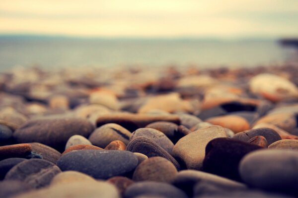 Pebble beach near the sea