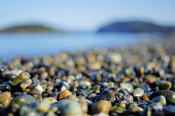 Makrofoto von Steinen am Strand