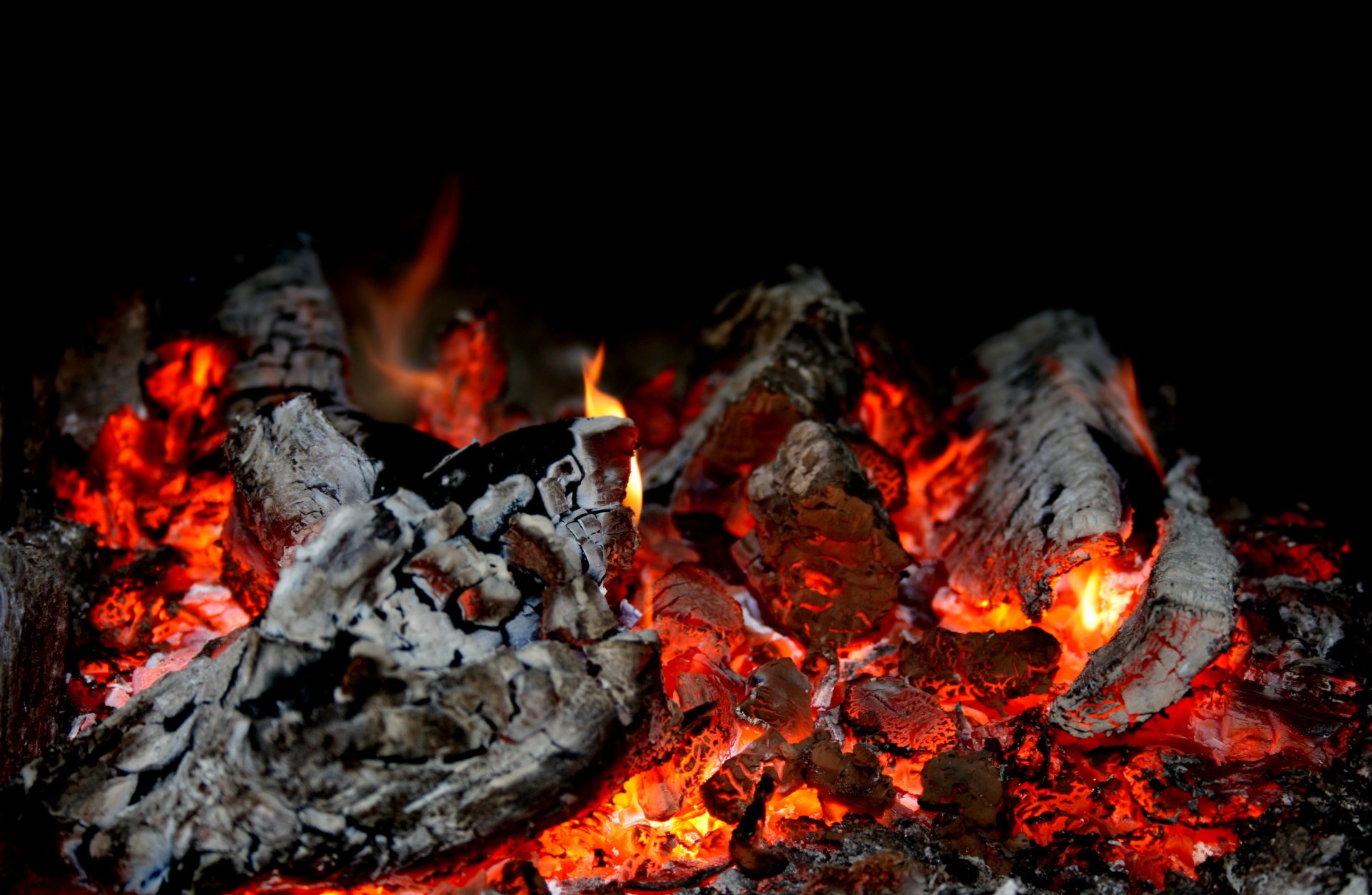 carboni fuoco fumo temperatura