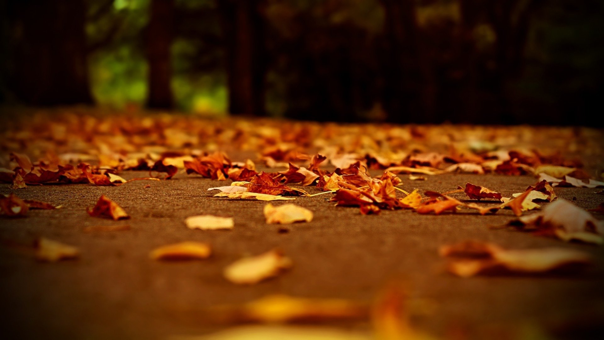 herbst straße abend