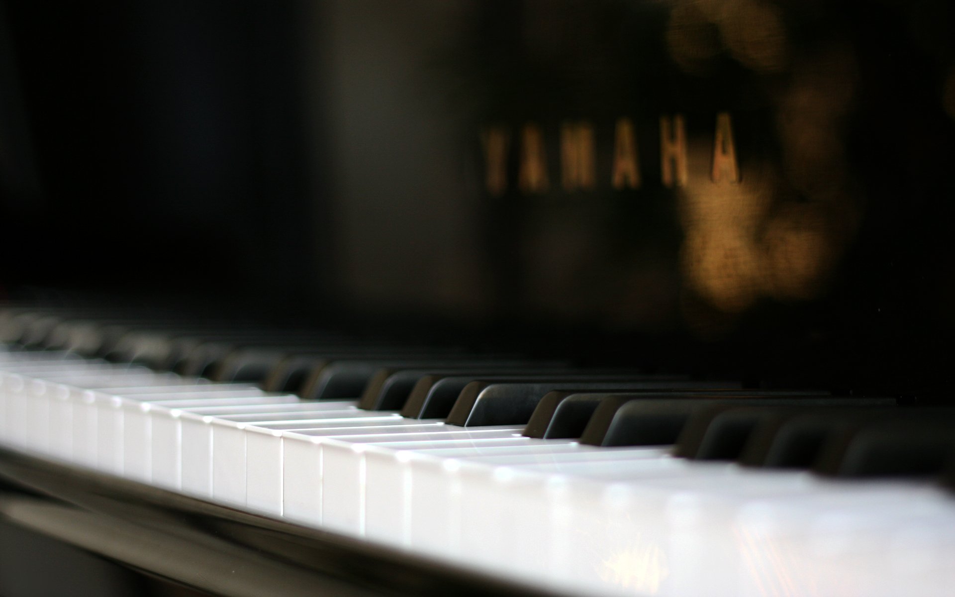 pianoforte macro pianoforte macro