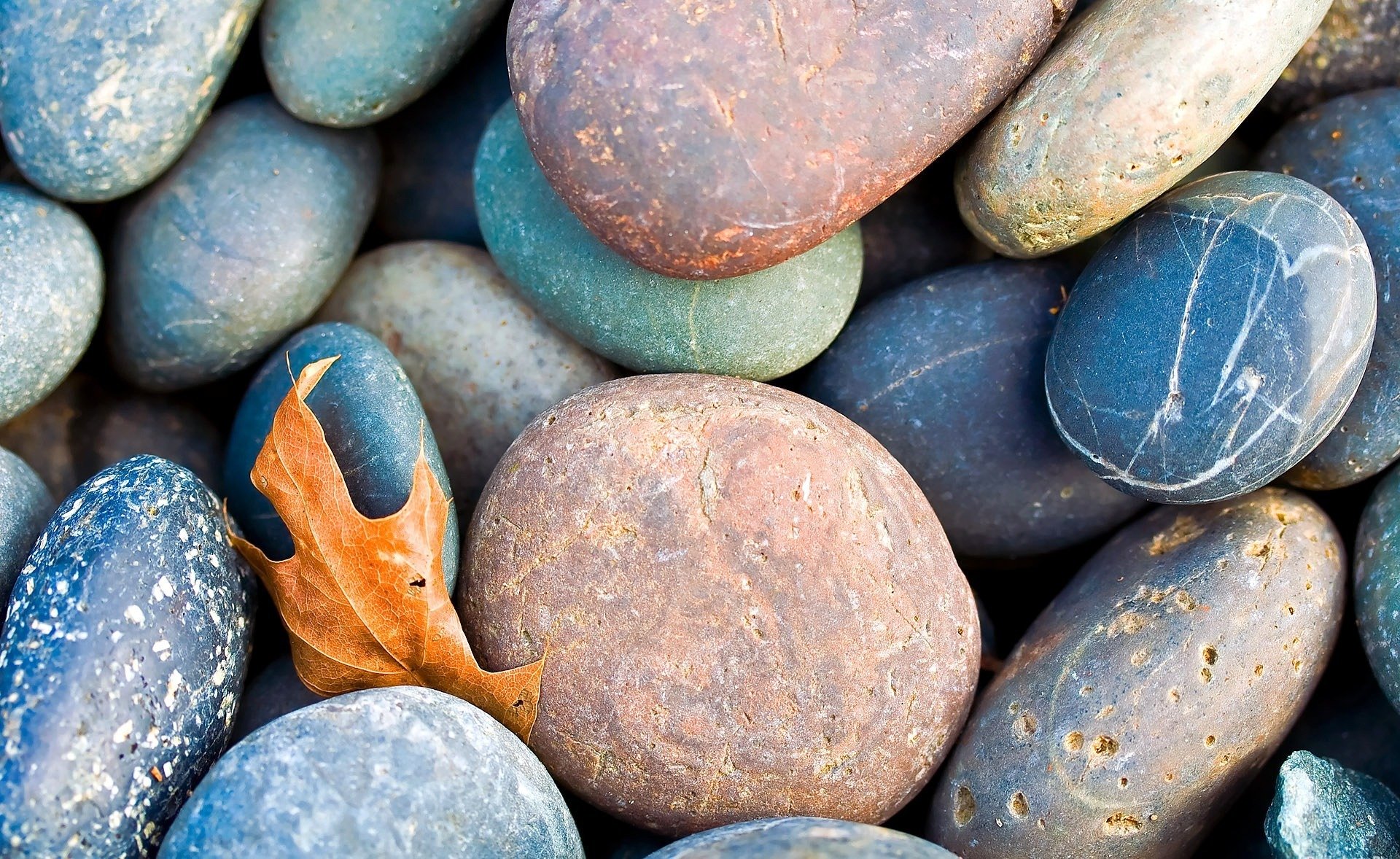 tones pebbles fallen sheet