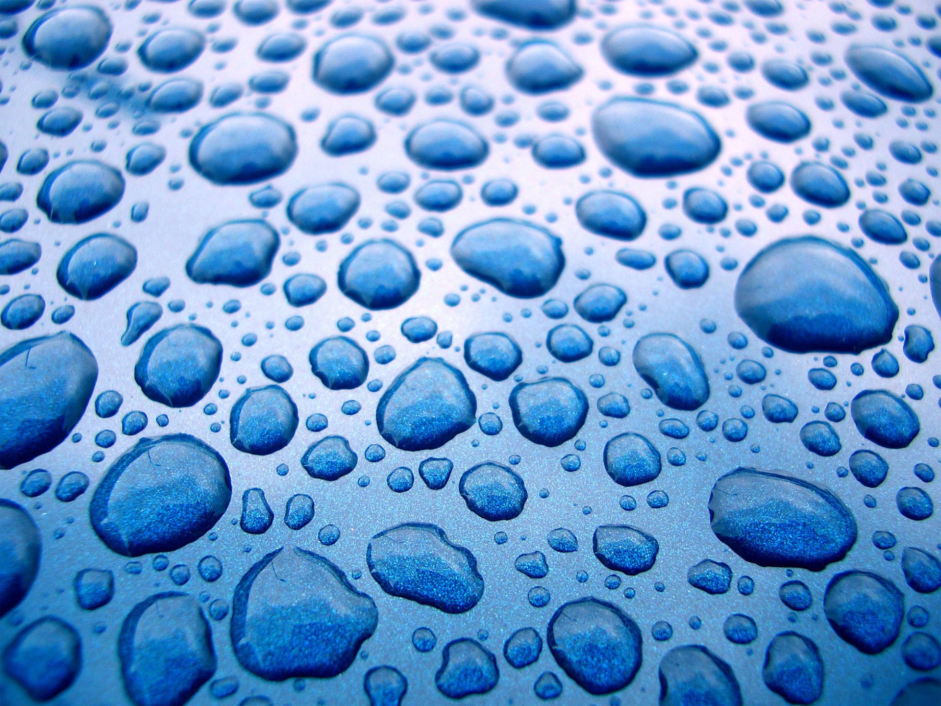 macro gotas agua textura