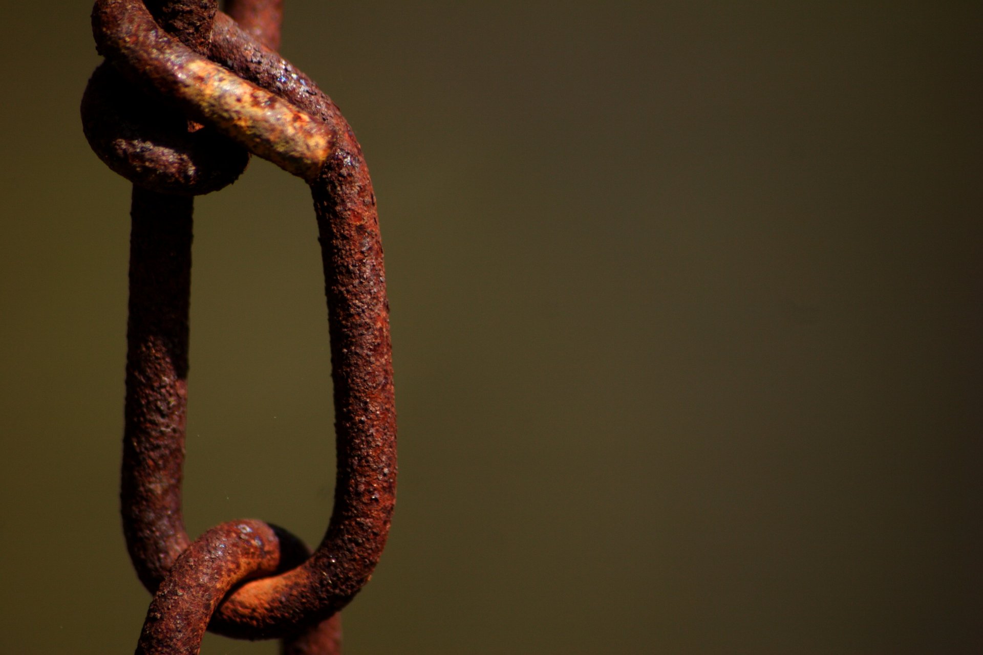 circuit close up metal ring