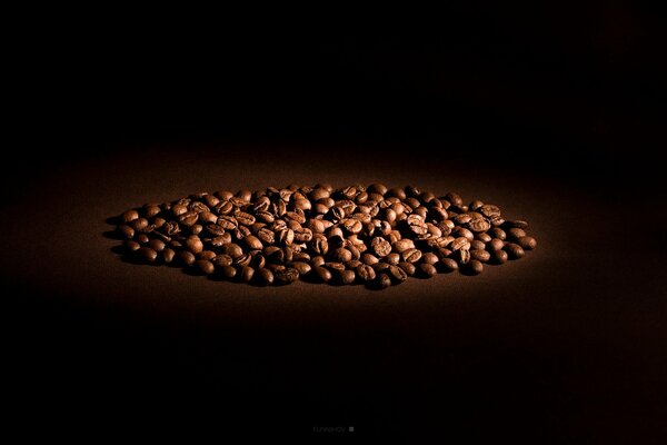 Grains de café sous un rayon de lumière