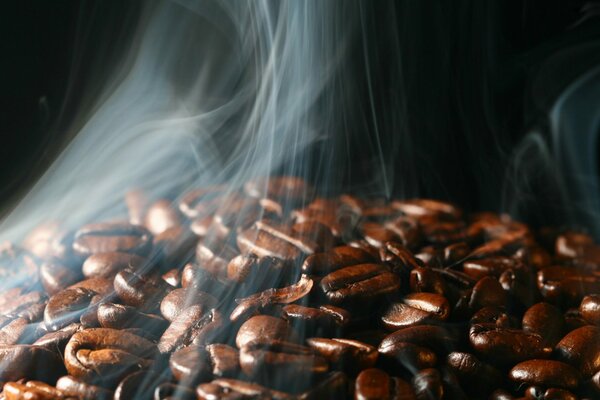 Chicchi di caffè tostati al vapore