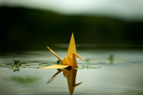 Gru origami gialla sulla superficie dell acqua