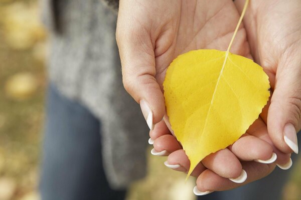 Foglia caduta gialla sul palmo della ragazza