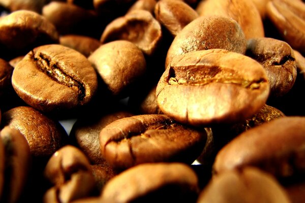 Golden large coffee beans