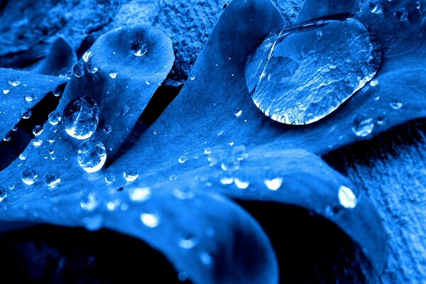 Water drops on a blue sheet