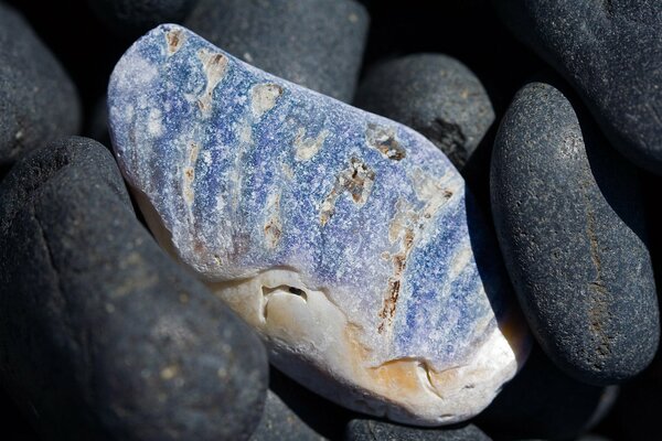 Makrofotografia kamienie na brzegu morza