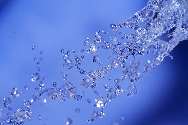 Fresh water splashes on a blue background