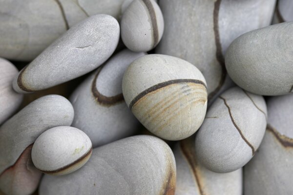 Gray pebbles for landscaping garden plots