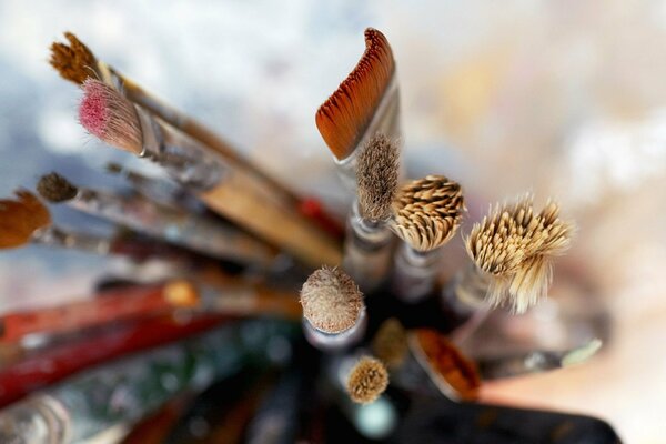 Artistic brushes, macro photos