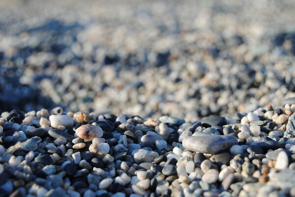 Beaucoup de pierres sur la plage au bord de la mer