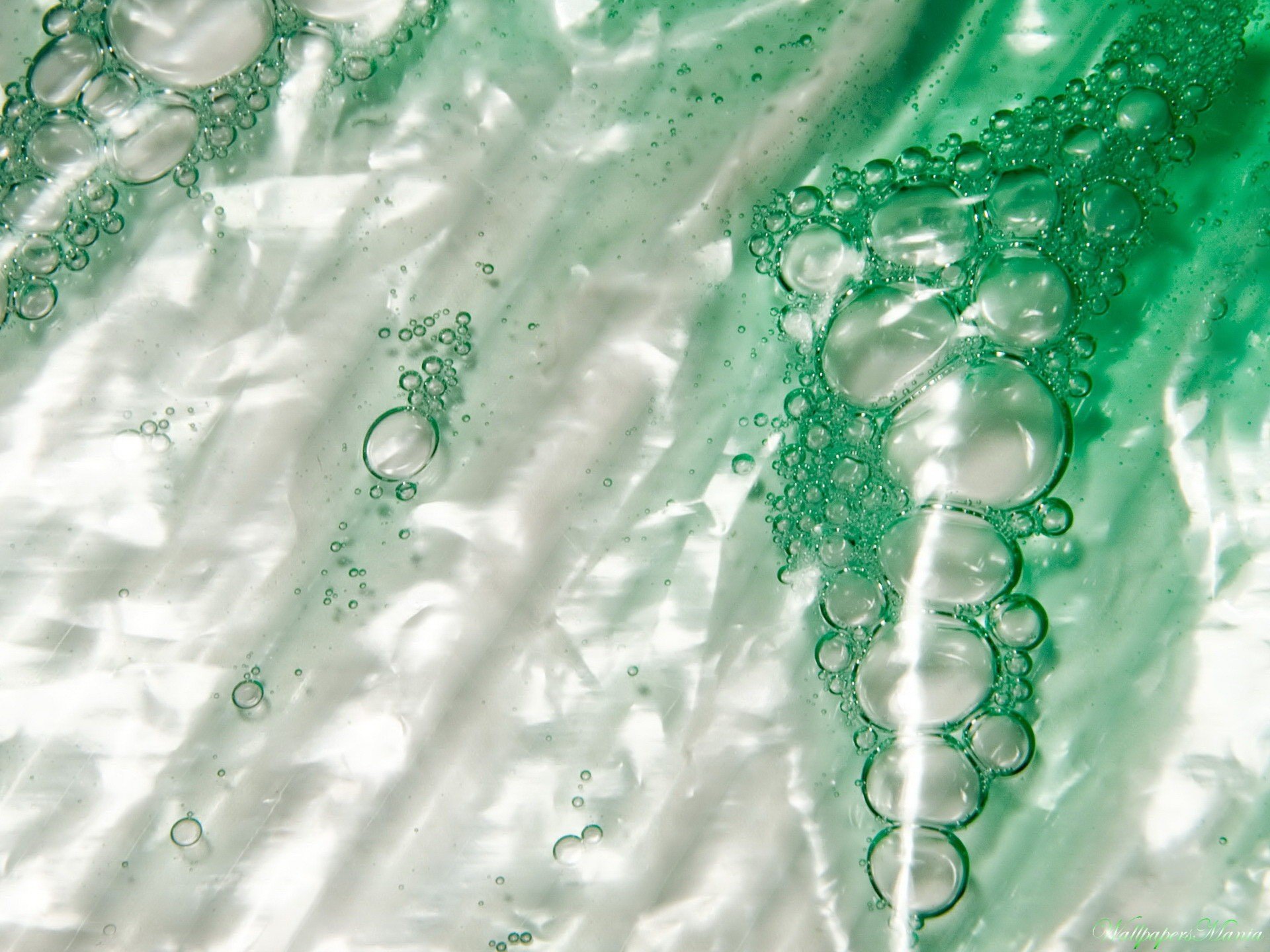 green bubbles close-up