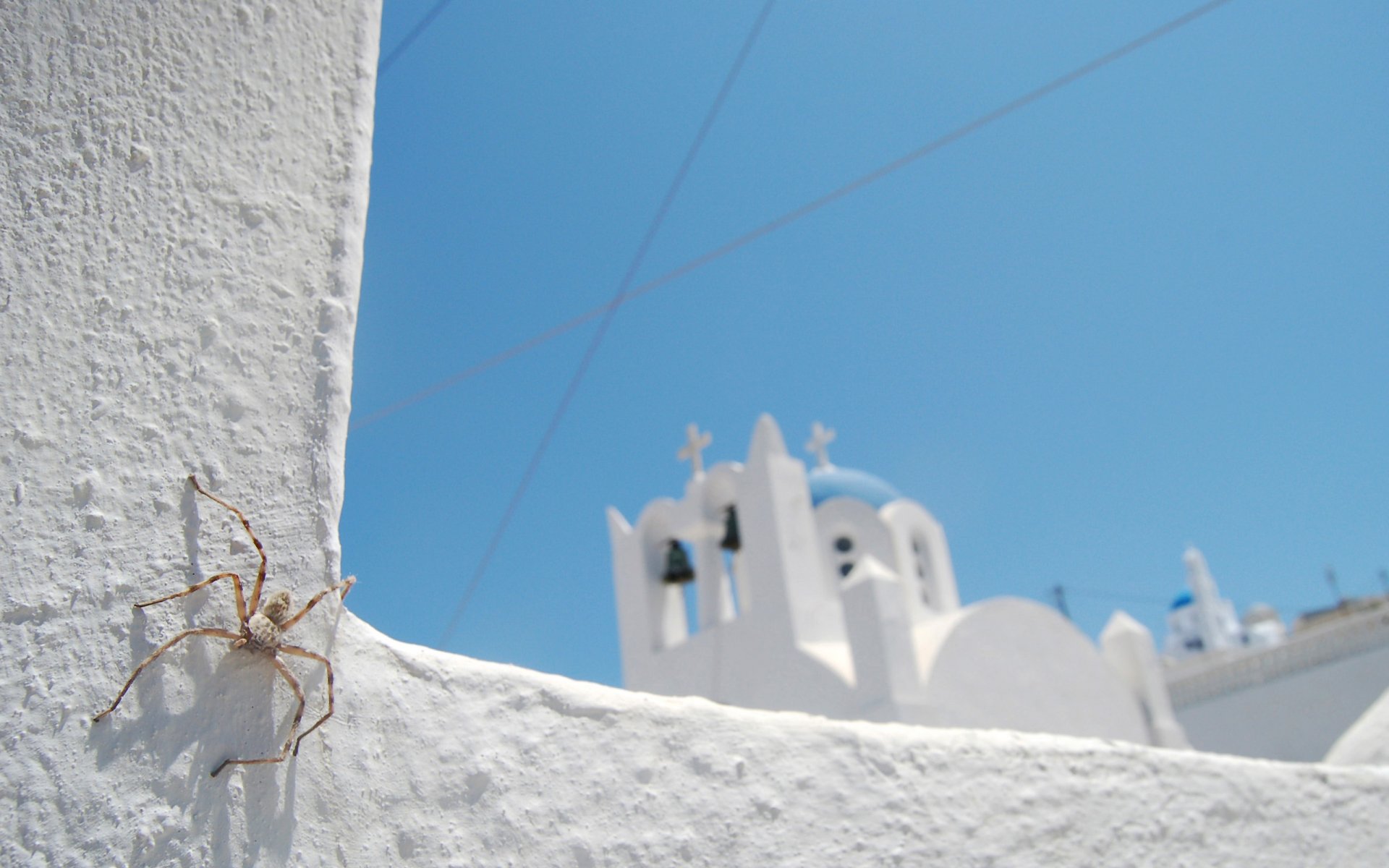 araña iglesia blanco azul cielo