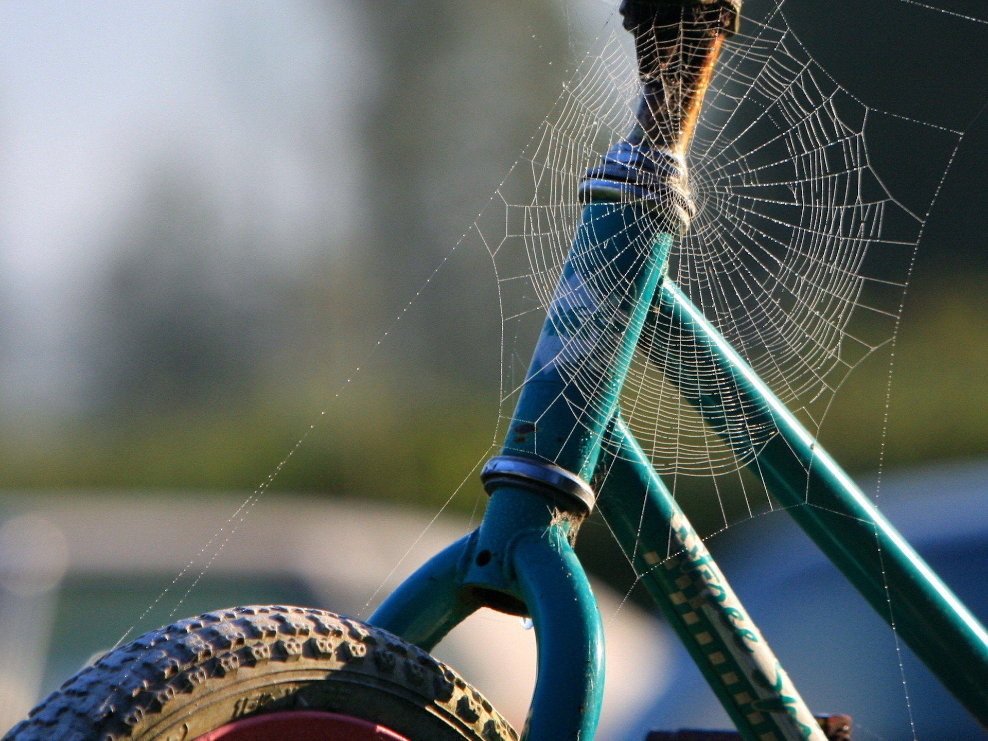 bicicleta telaraña