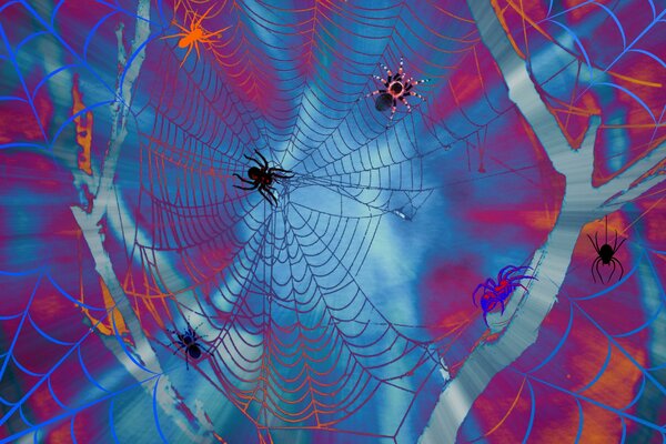 Niebieskie pajęczyny z czarnymi pająkami