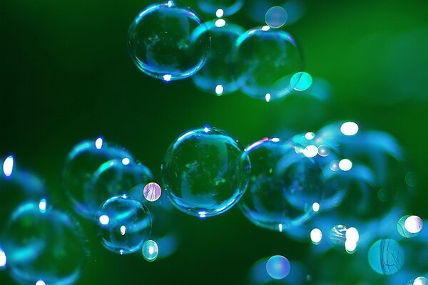 Bulles bleues sur fond vert