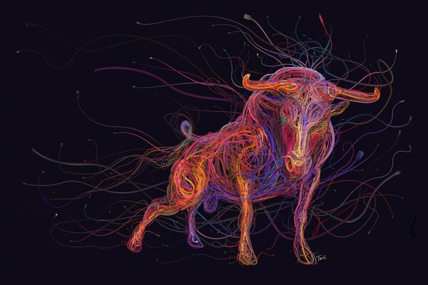 Toro di fili disegnati a mano multicolori