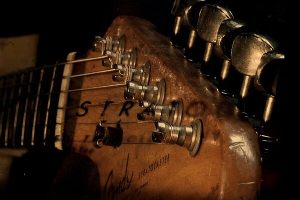 Thin strings of an elegant guitar