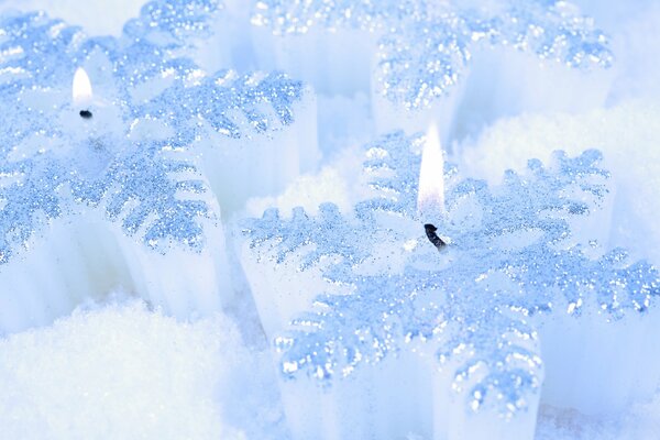 Красивые белые свечи на белом снегу одиное