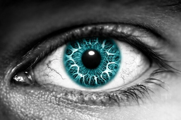 Black and white photo of an eye with a blue iris