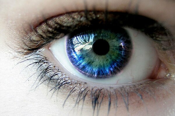Occhio della ragazza di colore Blu-Verde