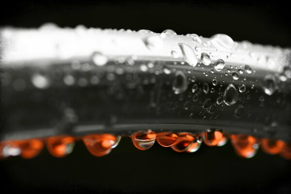 Gotas rojas en una foto en blanco y negro