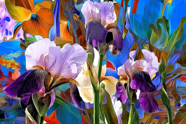 Colorful multicolored irises in lines