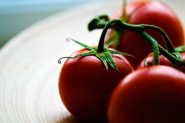 Rote Tomaten mit grünem Zweig