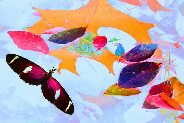 Autumn collage of butterflies and leaves