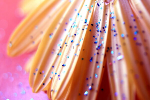 Blue sequins on flower petals