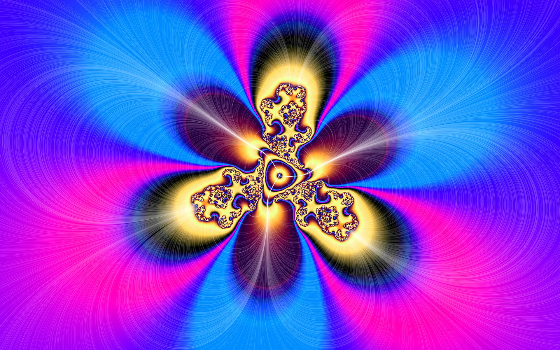 light flowers pattern fractal symmetry