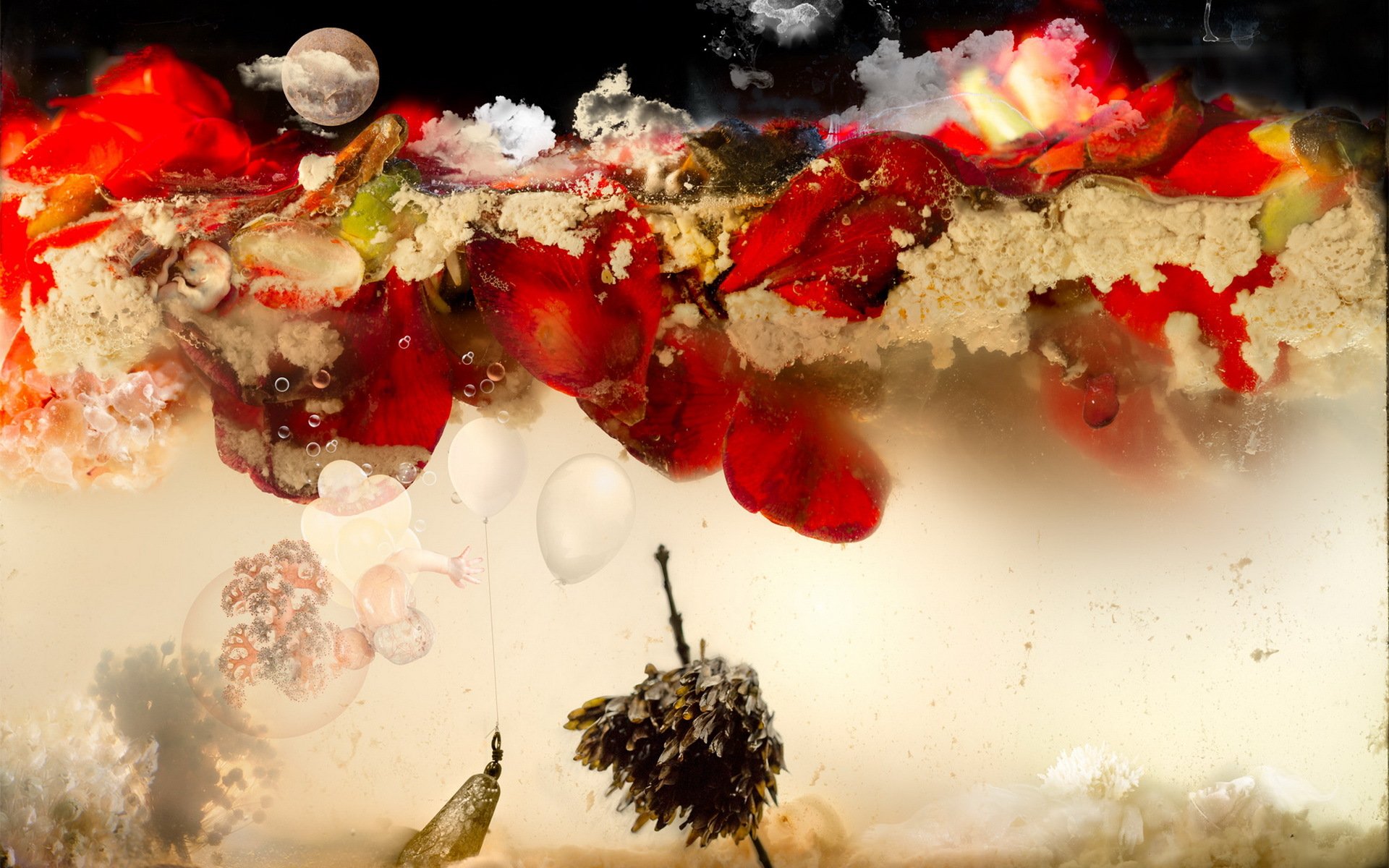 aquarium wasser blumen rot mond