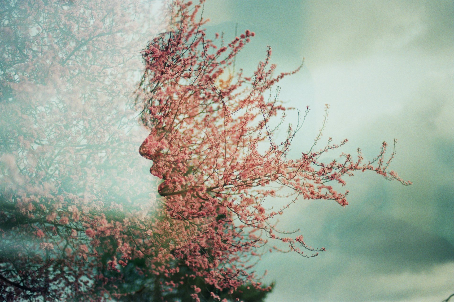 úna doble exposición cara árbol flores primavera