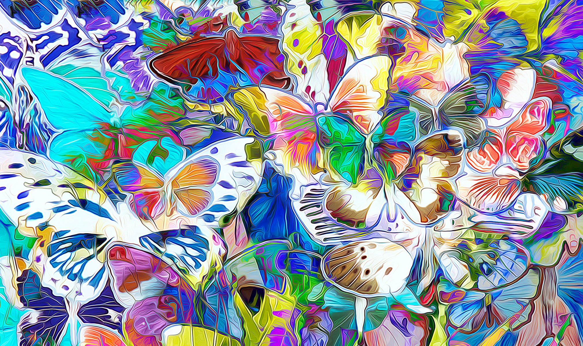 butterfly wings color lines nature moth rendering