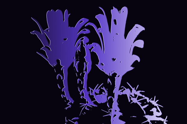 Purple flower shadow on a black background