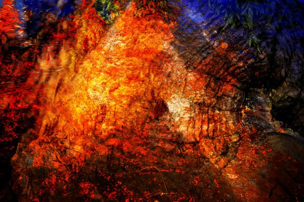 Orange explosion. Color abstraction