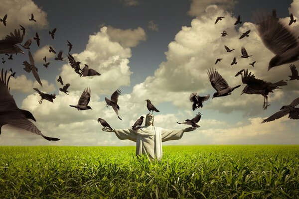 Estatua en el campo con pájaros en el cielo