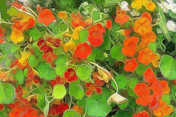 A plant with red flowers