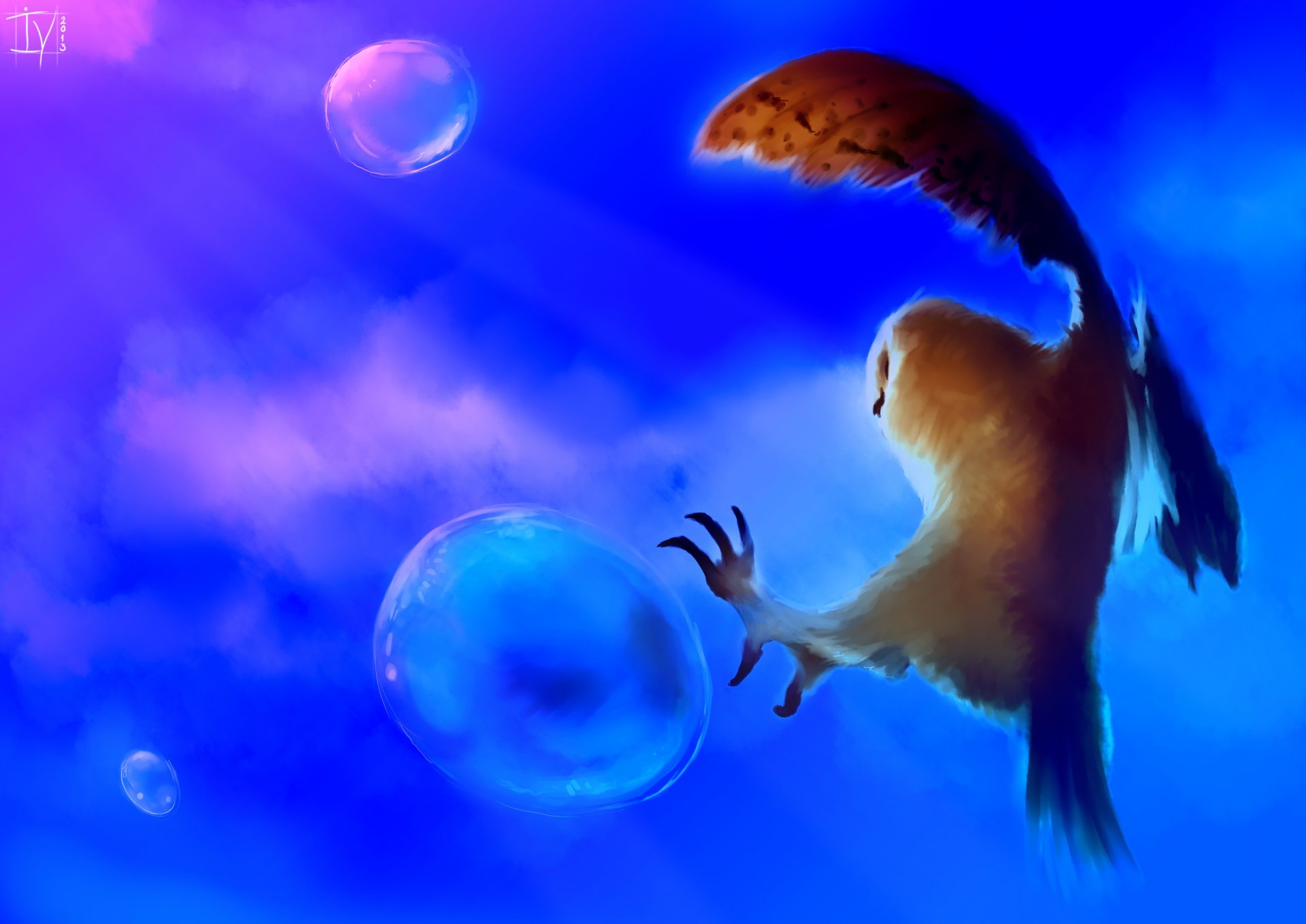 art background owl poultry bubble