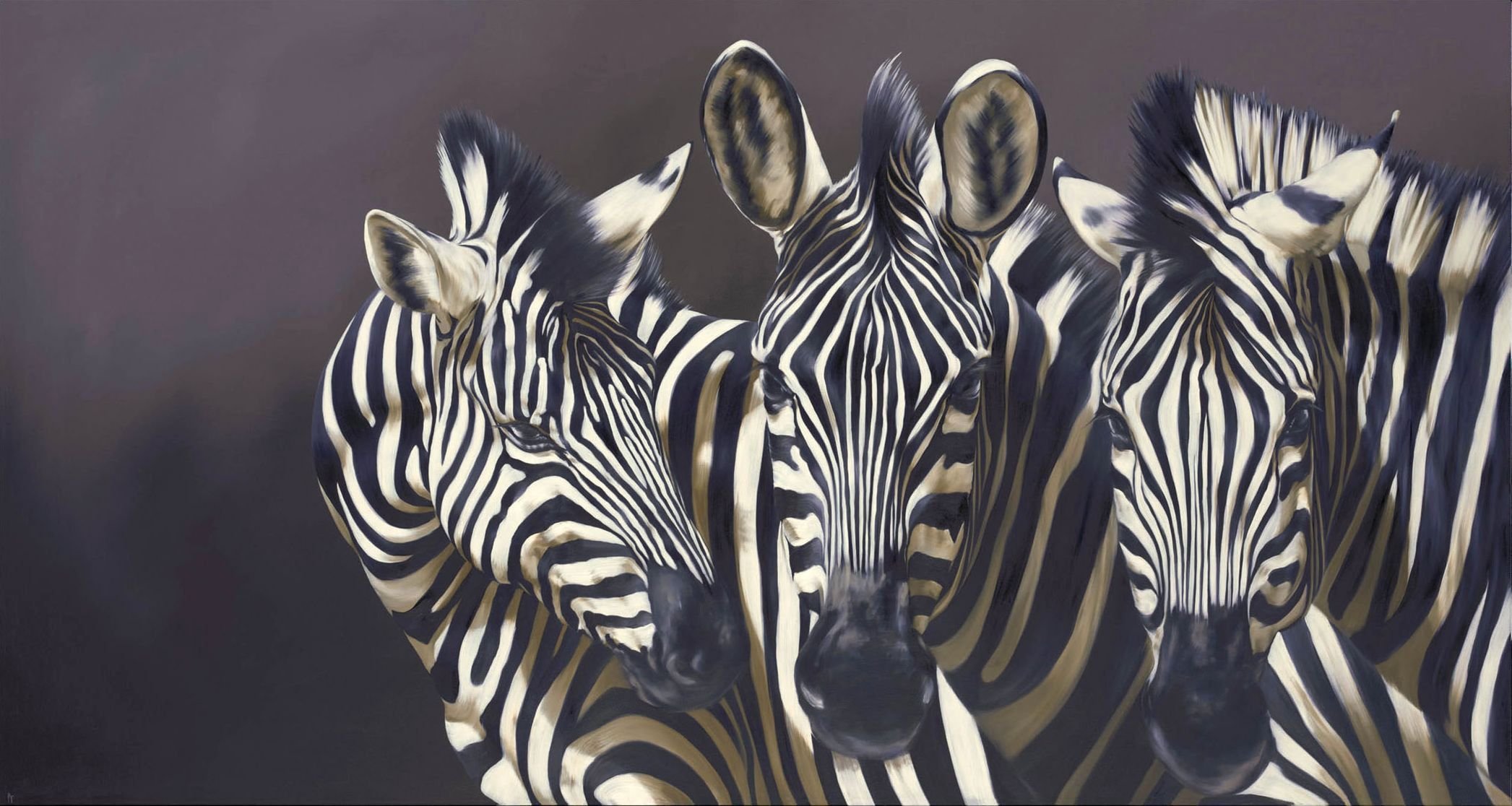 malerei kunst robin yasmin tiere zebras streifen schnauzen hintergrund