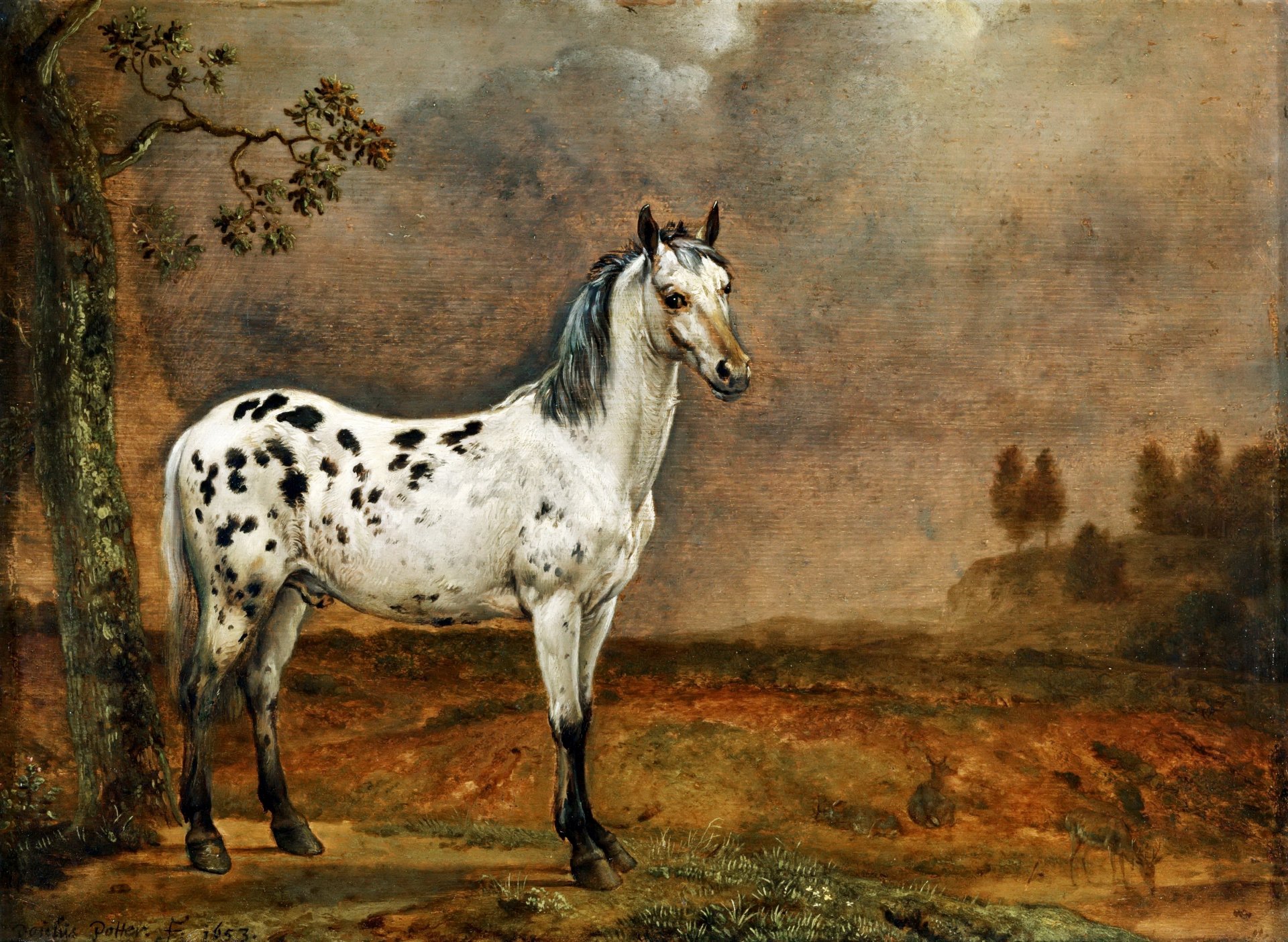 caballo manchado paulus potter pintor holandés pintura lienzo óleo