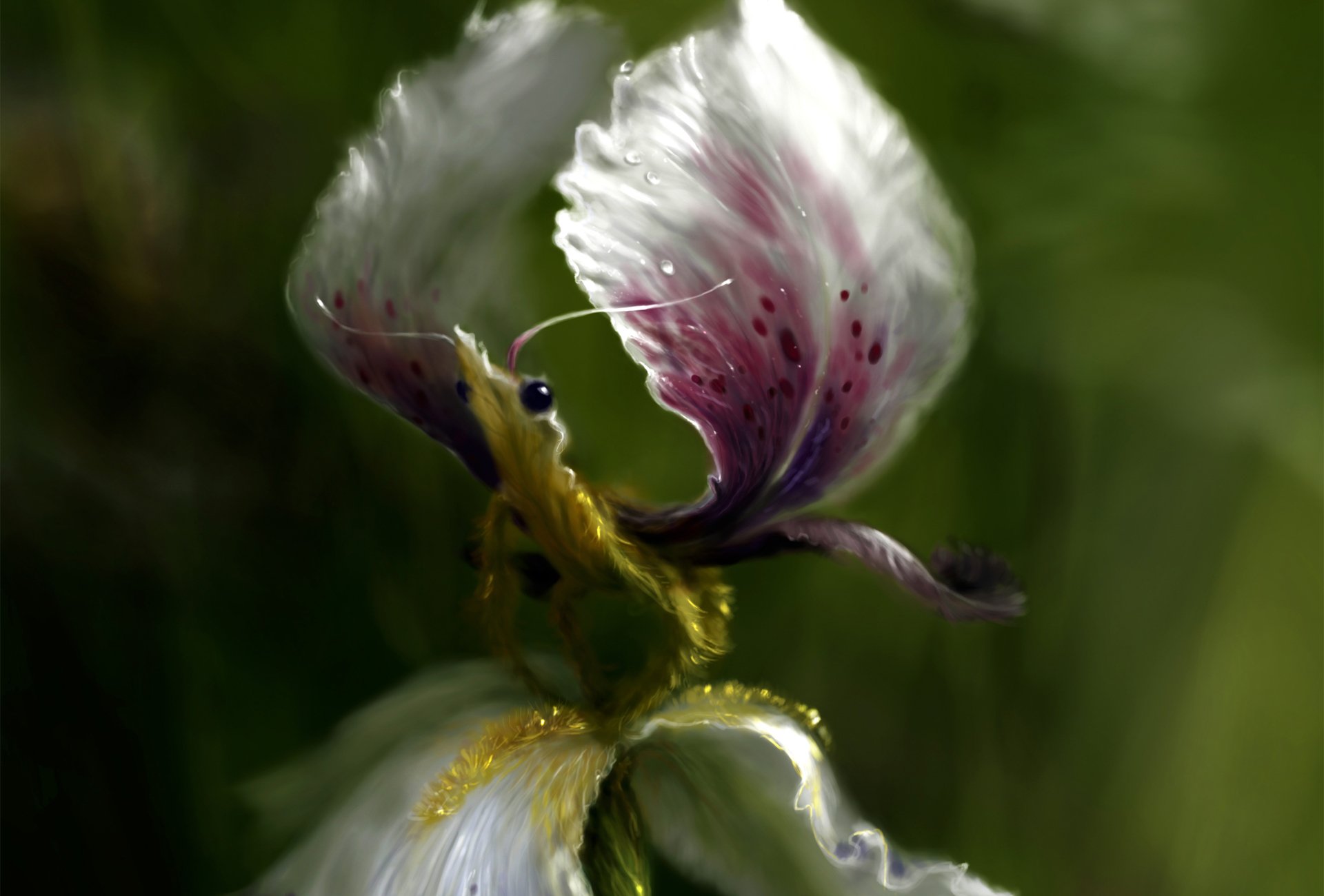 arte fantasía criatura flor iris pétalos alas