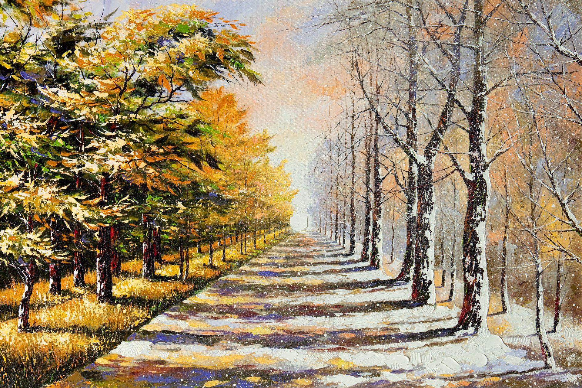 winter summer tree foliage snow road