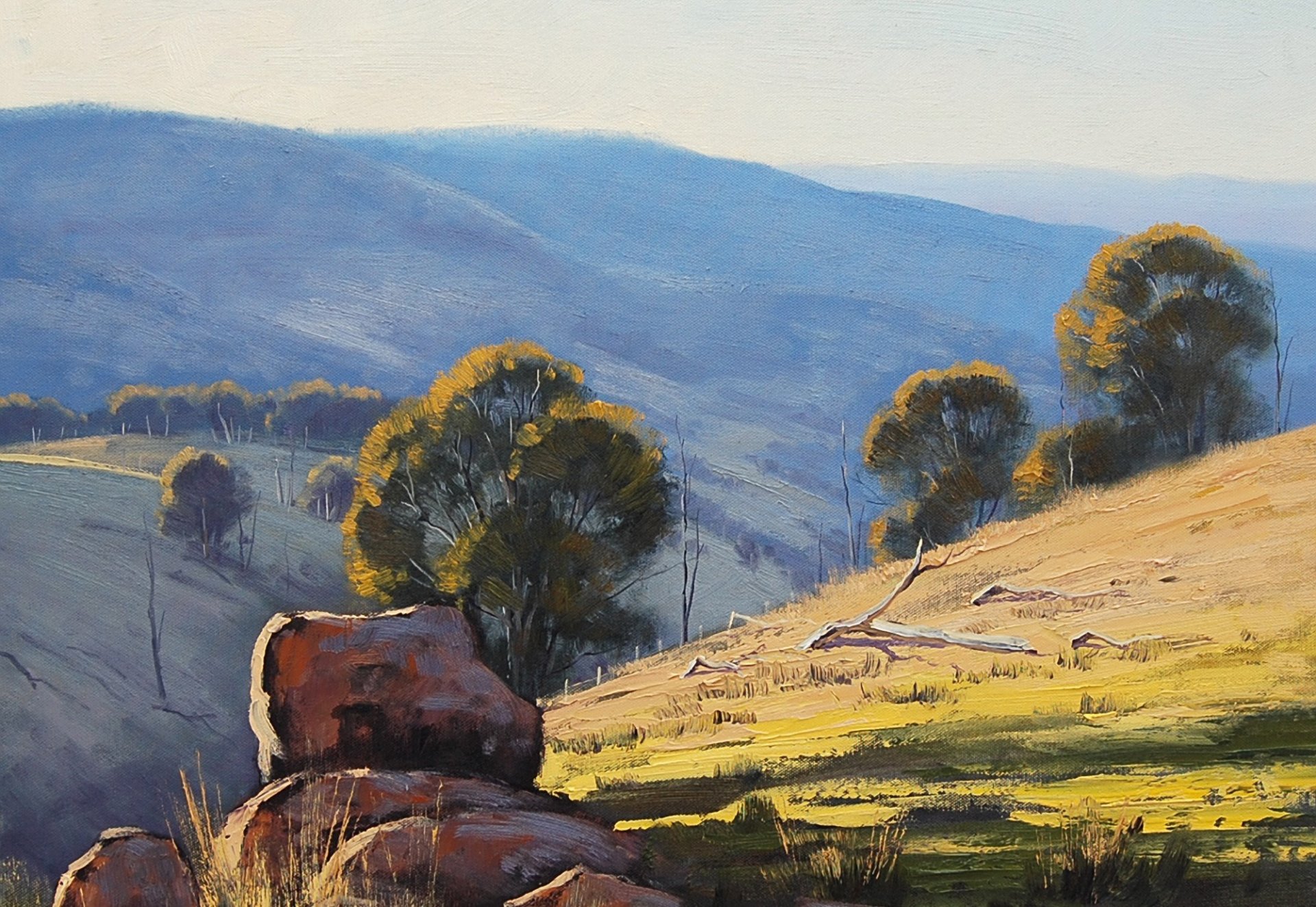 kunst artsaus natur hügel steine australien bäume zweige trocken