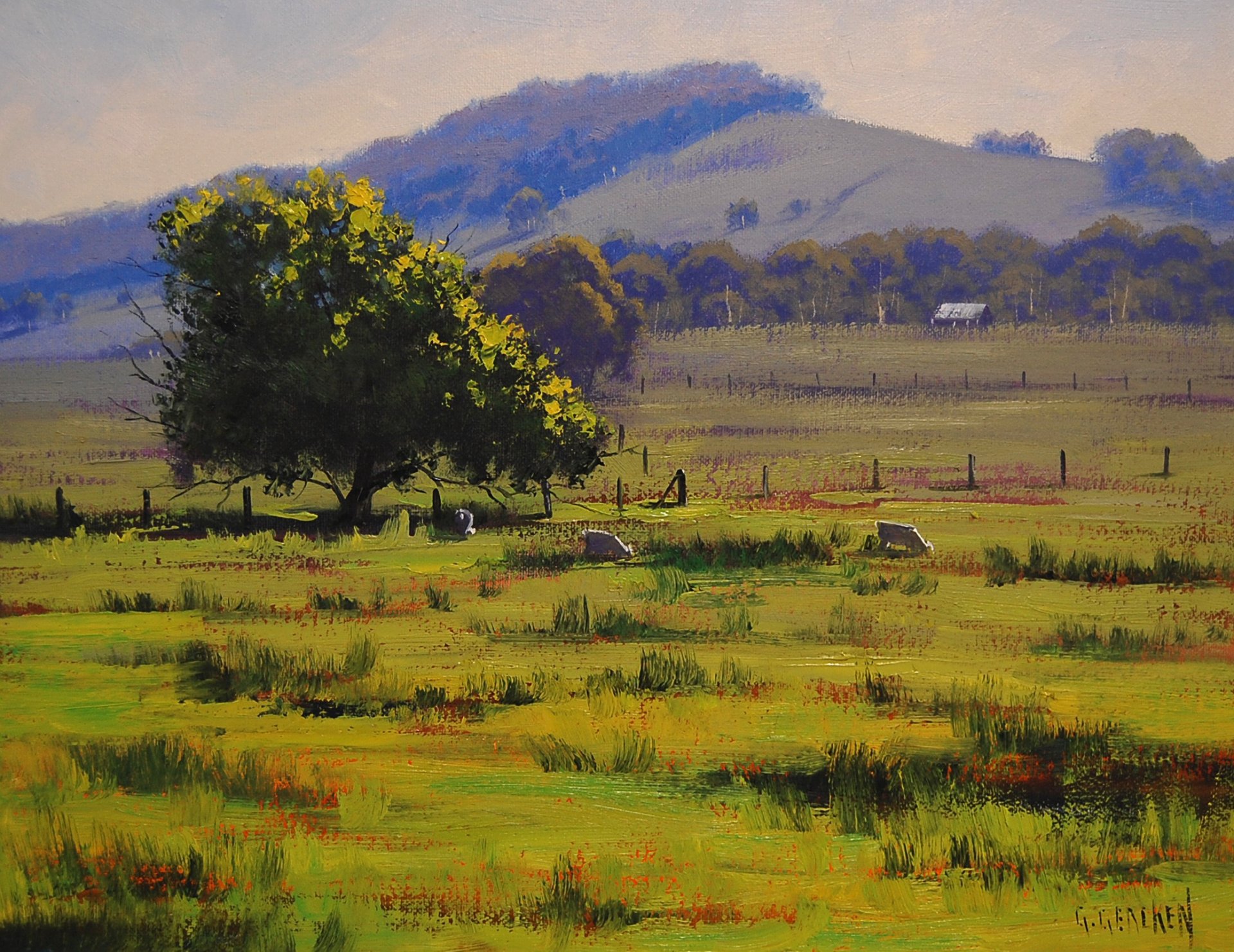 arte dibujo árbol hunter valley paisaje artsau